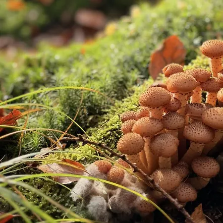 Apartman 4summer Blue Maris White Blue Sauna & Fitness & Parking 100 Metrow Do Pieknej Szerokiej Piaszczystej Plazy, 100 Meter Zu Einem Schoenen Breiten Sandstrand Kołobrzeg