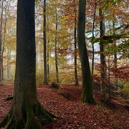 4summer White Blue Sauna&fitness&parking 100 Metrów Do Pięknej Szerokiej Piaszczystej Plaży, Wspaniały Widok Z Dużego Tarasu! 100 Meter Zu Einem Schönen Breiten Sandstrand, Herrliche Aussicht Von Einer Großen Terrasse! Kołobrzeg